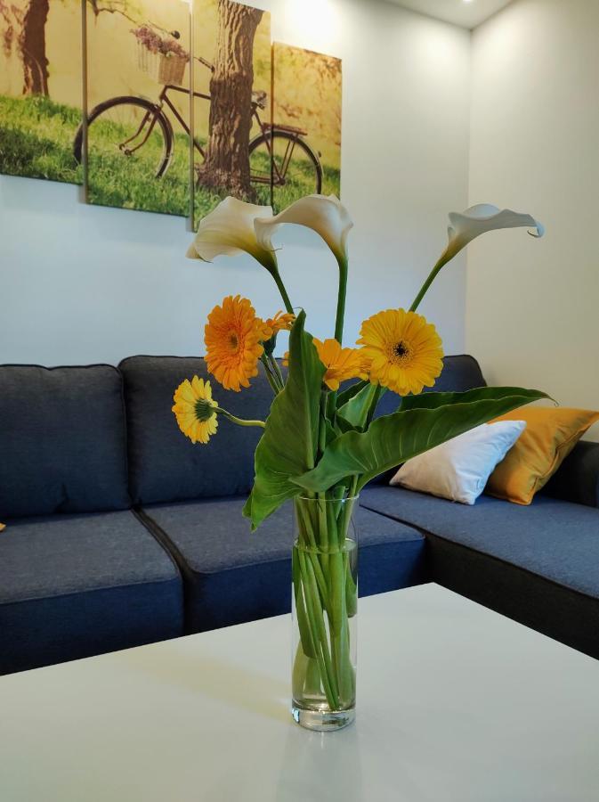 Casa Di Stefano Apartment & Spa زلاتيبور المظهر الخارجي الصورة